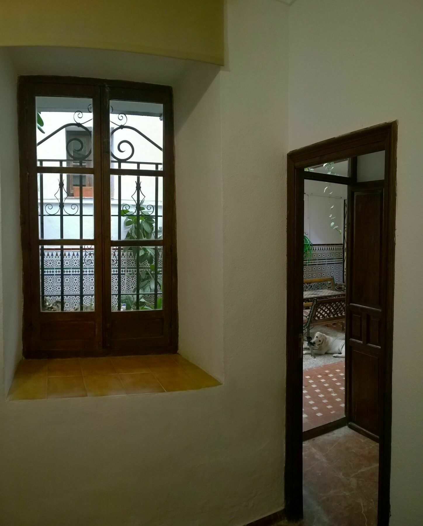 Casa Patio De La Vega Ξενοδοχείο Κόρδοβα Εξωτερικό φωτογραφία
